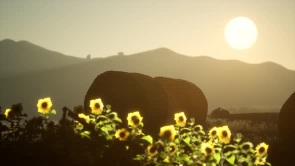 Hay Bales in the Sunset