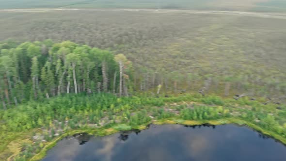 Drone View of the Lake in the Swamps of the Siberian Taiga Clouds are Reflected in the Water