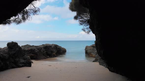 Aerial shot flying out of a dark cave with birds flying in front of the camera out into the open blu