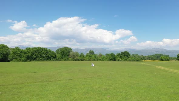 Newlyweds hug in the meadow. Sunny, bright day with blue sky and clouds.