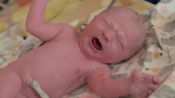Newborn Baby at Hospital