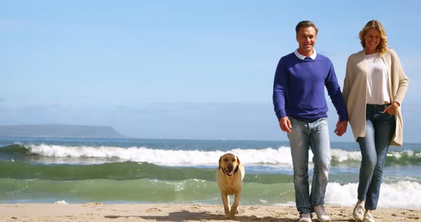 Happy mature couple walking with dog on the beach