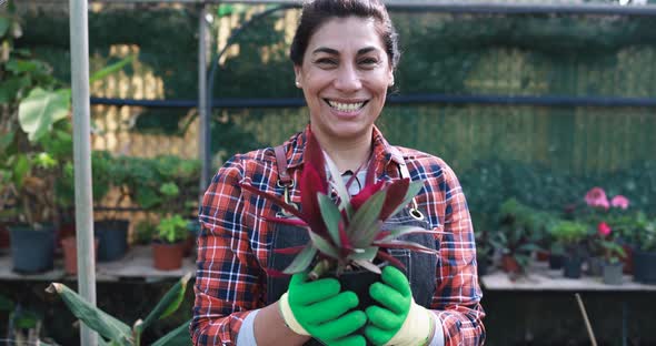 Latin woman working inside greenhouse garden - Nursery and spring concept