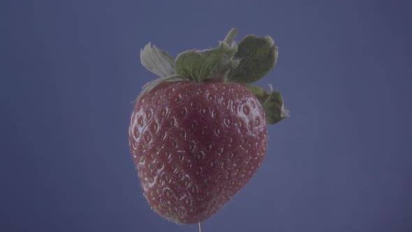 Strawberry Rotating with Loop on Blue Screen for Chroma Key