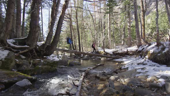 Looking down river as hikers make it across on log