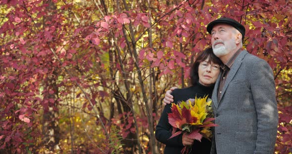 Cute Retired Couple Cuddling in the Park on Background of Beautiful Bushes with Red Leaves. Bearded