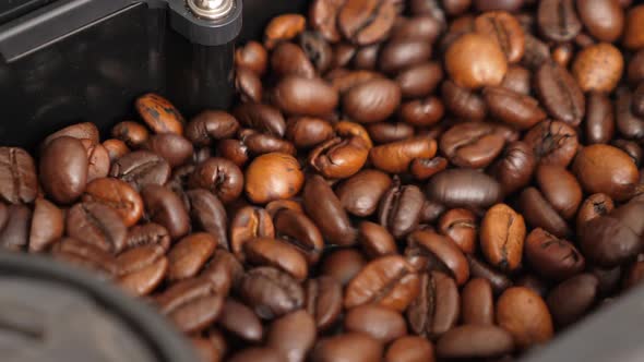 Coffee Beans Shaking in Coffee Machine While Grinding