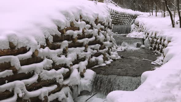 A Wall of Logs Encloses a Small Stream in the Forest Near Bare Trees