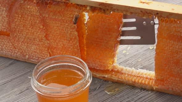 Part of the Honeycombs is Taken From the Wooden Frame with a Kitchen Spatula