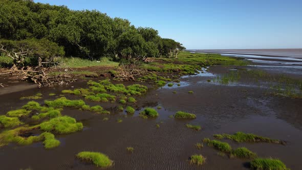 Low forward aerial of green nature and sand banks by La Plata River