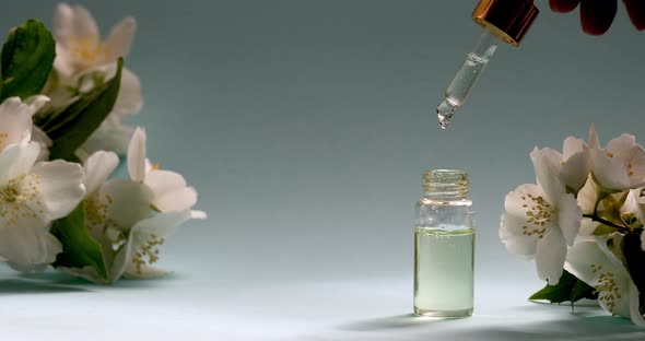 Jasmine Essential Oil is Dripped Into a Dropper on a Background of Jasmine