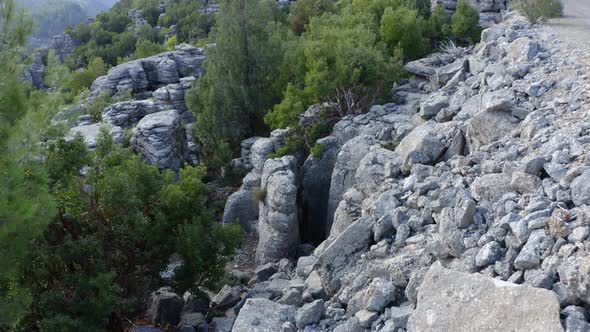 Beautiful Geological Formations and Green Trees