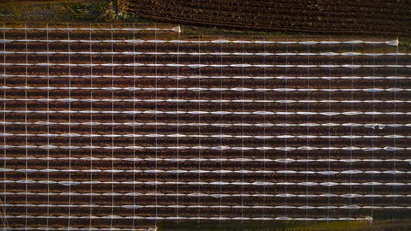 Aerial view of a country agricultural landscape.