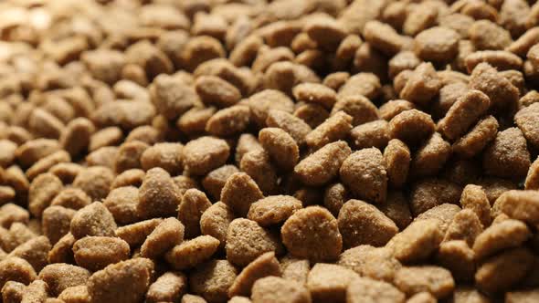 Panning on brown pet dry food close-up  4K 2160p 30fps UltraHD footage - Shallow DOF pile of cat or 