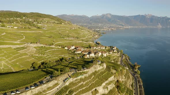 High aerial orbit around typical village (Rivaz) in Lavaux vineyard, SwitzerlandSunset light and au