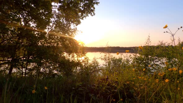 Colorful and Dramatic Sunset Over a Natural Forest Lake Landscape