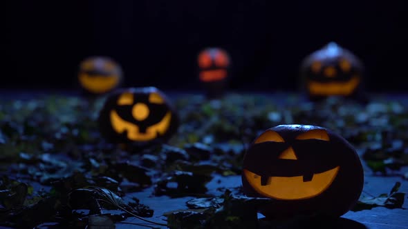 Scary Pumpkins on Halloween in the Dark Forest Are Burning Like Lanterns