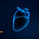 Heartbeat Pulse Activity - VideoHive Item for Sale