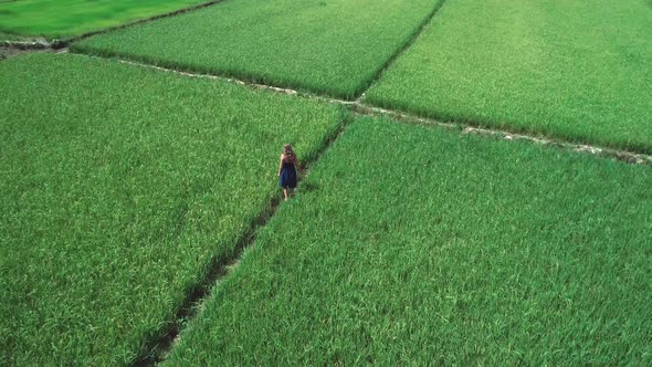 Aerial Drone Footage of Blond Girl in Blue Dress Standing in the Rice Fields in El Nido Philippines