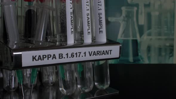 Kappa B.1.617.1 Test Tube Samples Being Removed From Rack. Close Up, Locked Off