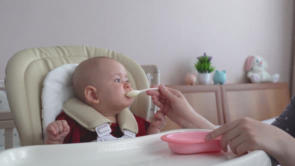 Mom gives the newborn cottage cheese a try for the first time. Spoon-feeding yogurt