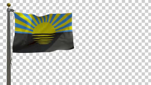 Donetsk Oblast Flag (Ukraine) on Flagpole with Alpha Channel - 4K