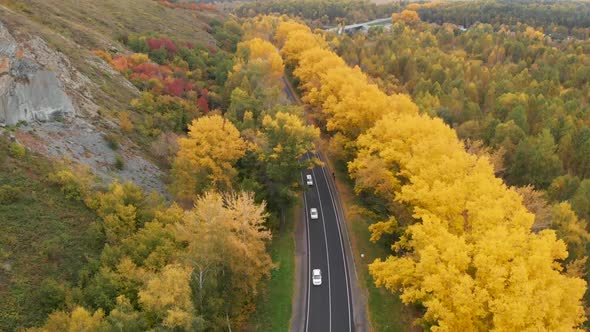 Aerial Video of Road in Beautiful Autumn Altai Forest