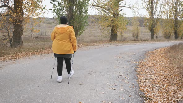 Senior Woman Making Nordic Walking in the Autumn Forest. Nordic Walking Race on Autumn Trail