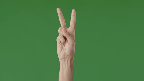 Male Hand Raise Two Fingers Masculine Body Part Isolate Over Green Background Showing Peace Symbol
