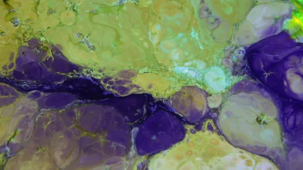 Liquid Colorful Paint Pattens Mix In Slow Motion 13 alt