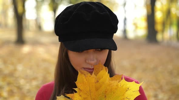 Portrait of Attractive Girl Sniffs Maple Leaves and Looks Into Camera in Park