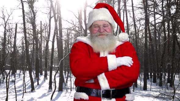 Santa on Forest Background