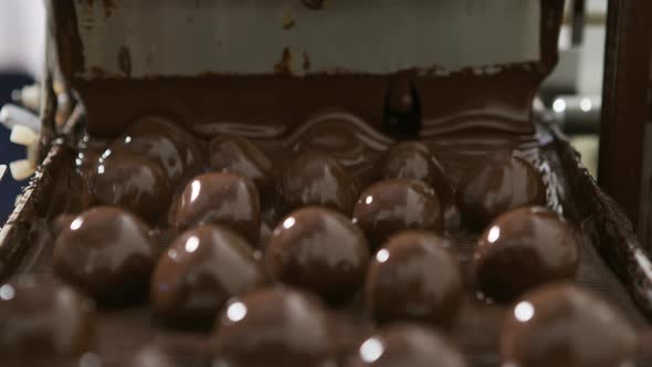 Chocolate truffles on a conveyor belt at candy factory