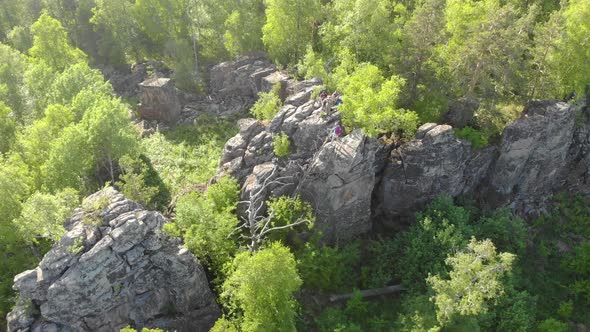 Aerial View of Green Trees at the Top of the Mountain