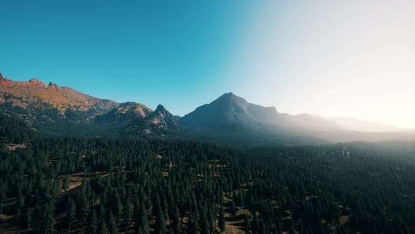 Aerial View Over Mountain Range with Pine Forest in Bavaria alt