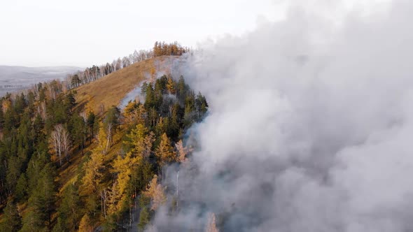 Epic Aerial View of Smoking Wild Fire