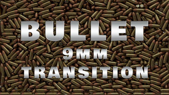 Bullet Transition 9mm