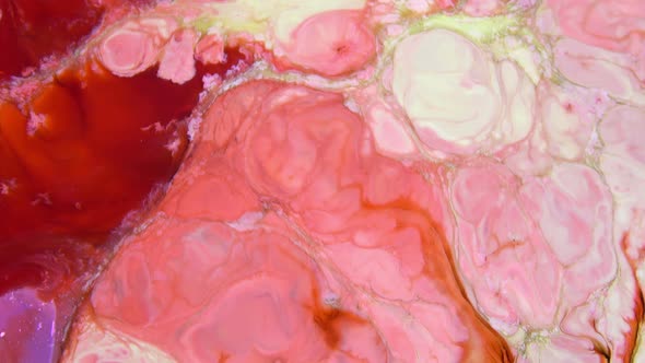 Abstract Paint Color Texture alt