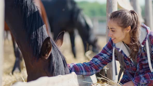 Affectionate Young Girl in Casual Jacket Stroking Horse on Countryside Farm or Ranch