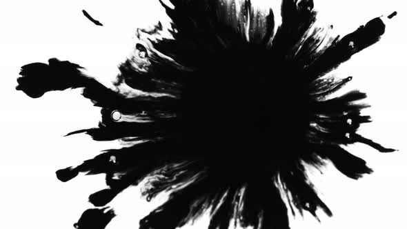 Super Slow Motion Shot of Black Ink Drop Isolated on White Background at 1000 Fps