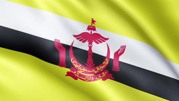Flag of Brunei | UHD | 60fps