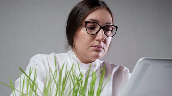 Laboratory Worker Controls Growth of Grass Using Tablet PC