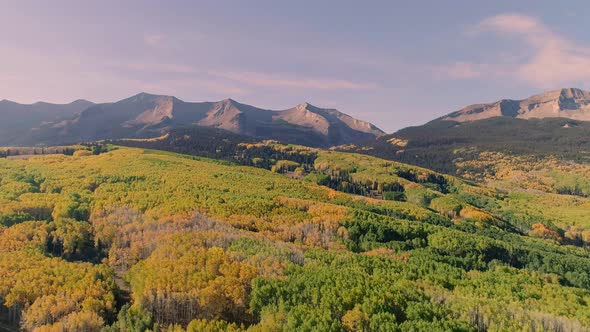 Aspens turning on Kebler Pass, Colorado