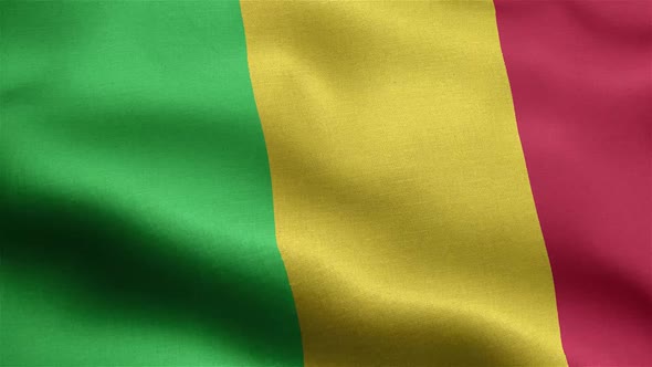 Mali Flag Seamless Closeup Waving Animation