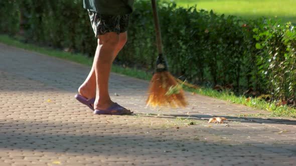 Janitor Sweeping Leaves in the Park.