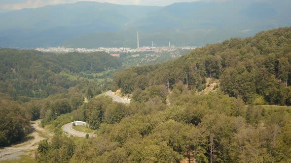 Aerial view of a forest