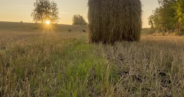 Flat Hill Meadow Timelapse at the Summer Sunset Time. Wild Nature and Rural Haystacks on Grass Field