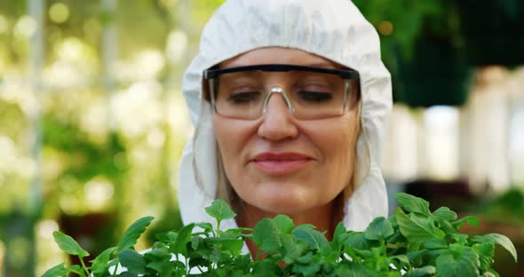 Female scientist checking pot plant