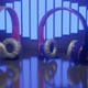 Headphone Rotation - VideoHive Item for Sale