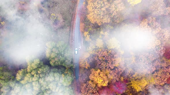 Car Driving In Autumn Forest Through Clouds